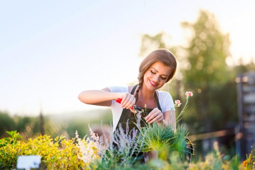 A smiling woman in casual gardening attire tends to a diverse flower bed in a well-maintained outdoor garden space, with lush green grass and neatly arranged plants. The foreground features a variety of flowering plants and shrubs with vibrant colors, including yellow, white, and purple blooms, alongside green foliage. Behind her, there is a backdrop of tall trees and a clear sky, suggesting a bright and calm weather condition. The garden includes a mix of soil, paving stones, and wooden decking, providing a structured layout that is typical of landscaped outdoor areas. The scene reflects a peaceful, natural environment suitable for gardening activities and showcases the kind of outdoor space that a professional gardening service like Gardening Services Feltham might maintain, emphasizing expertly managed lawns, hedges, and flower beds. The lighting is natural, with soft sunlight illuminating the scene, enhancing the natural tones of the plants and garden features, indicative of a serene afternoon in the local area near Feltham or postcode TW13, Hertfordshire, or the surrounding region.