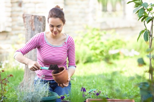 A woman wearing a pink and white striped long-sleeve top is tending to a garden in an outdoor space near Feltham, with a focused expression as she plants or tends to purple flowers in a terracotta pot. The garden features a lush green lawn, bordered by flower beds and outdoor plants, with mature trees and a stone wall in the background. The area is well-maintained, with flowering plants arranged neatly, and outdoor sunlight illuminating the scene, reflecting typical garden maintenance activities supported by local professional gardening services in Feltham.